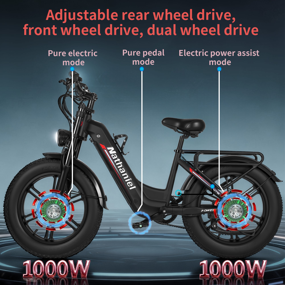 Bicicleta Elétrica para Adulto - Dual Motor Ebike Kit 2000W avaliação e preço